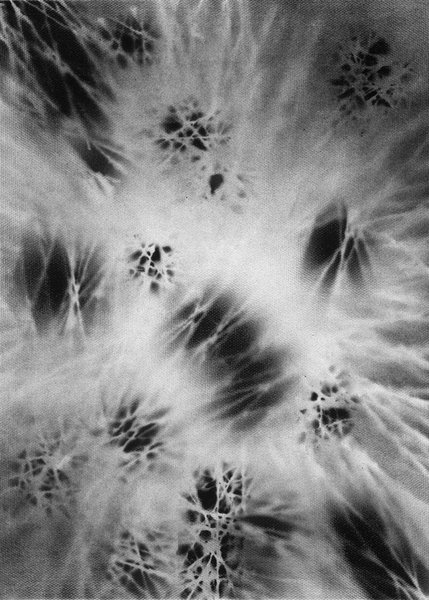 Marie Piselli – Ombres 6