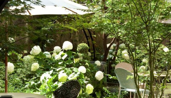 Regent’s Garden hotel