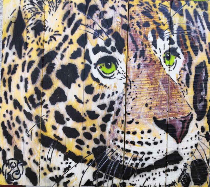 Mosko – Zoom Jaguar – Pencil and spray paint on wood – 30 x 33 cm