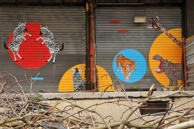 MOSKO 
Crédit Photo @Gérard Faure