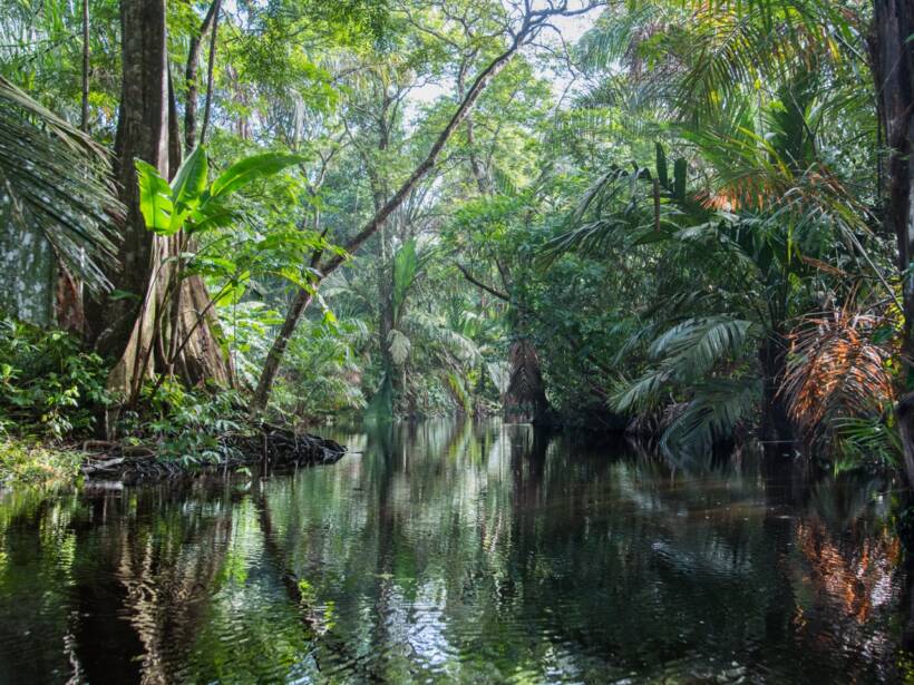 « Série Mirror Effect »
Tortuguero, Costa Rica – décembre 2016.
