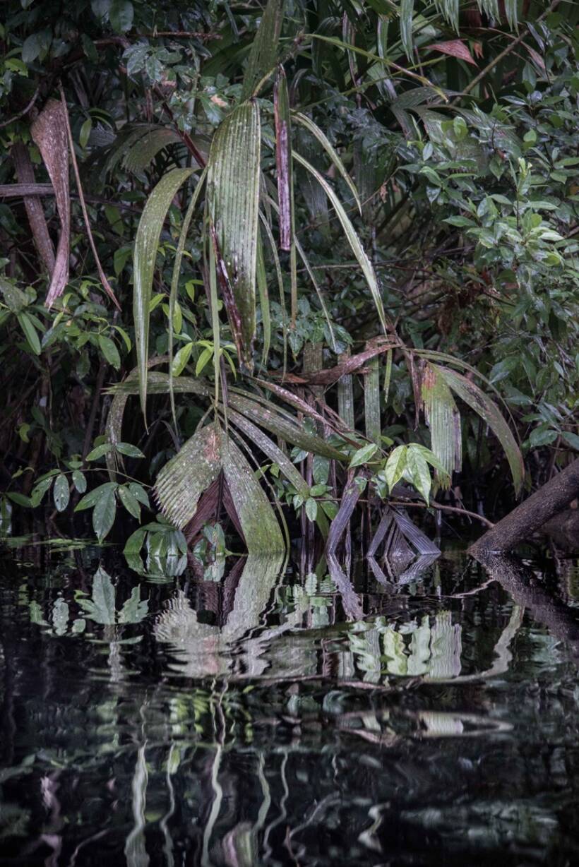 « Série Mirror Effect #3 »
Tortuguero, Costa Rica – décembre 2016.
