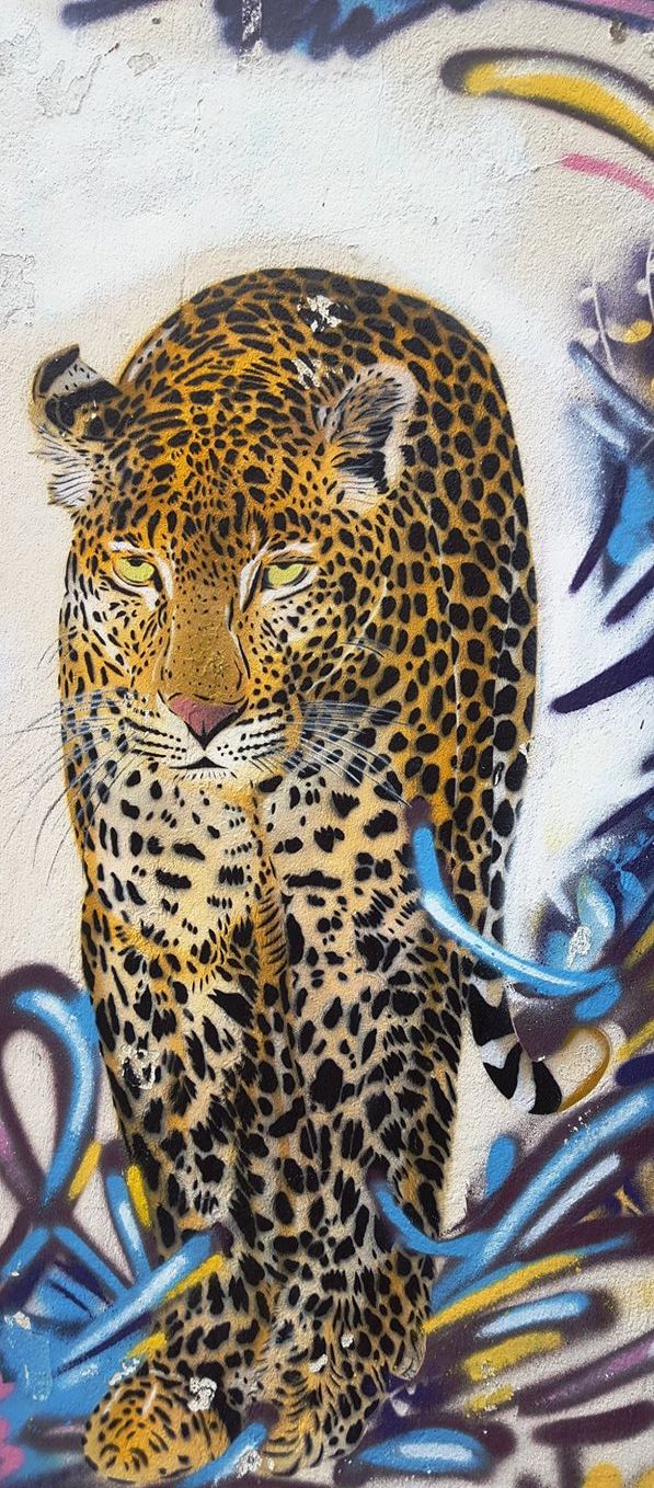 Mosko & Anis, Paris.