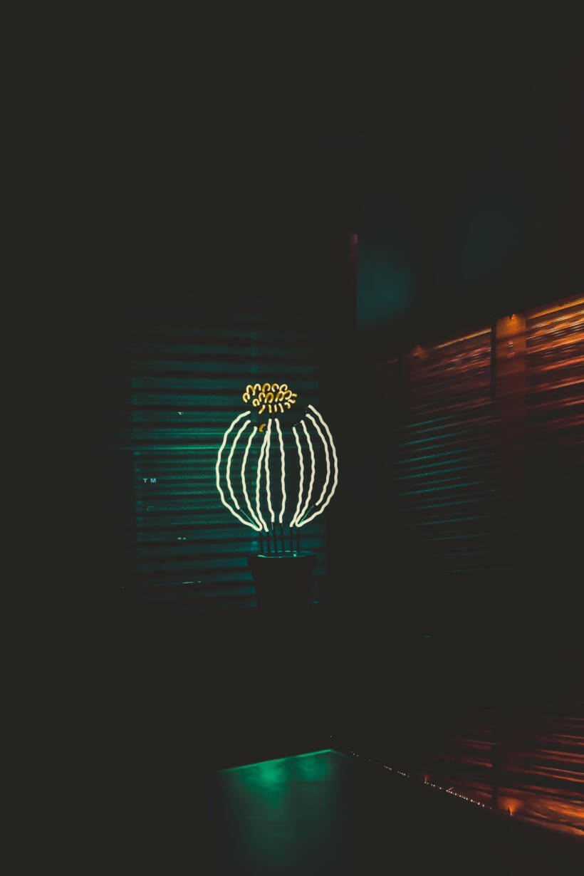 Neon cactus