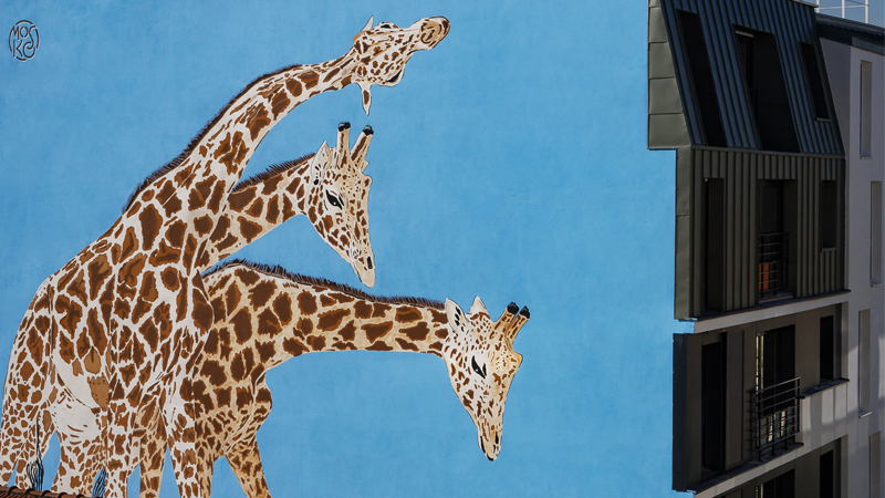 Les jolis cous du Bas-Montreuil