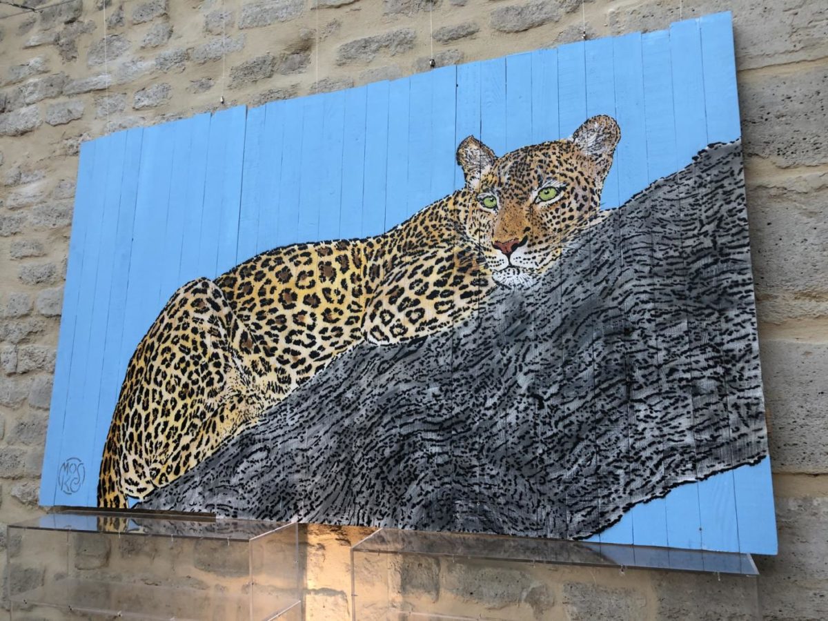 mosko-palissade-performance