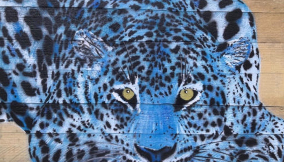 Summer Street Show, collectif urbain