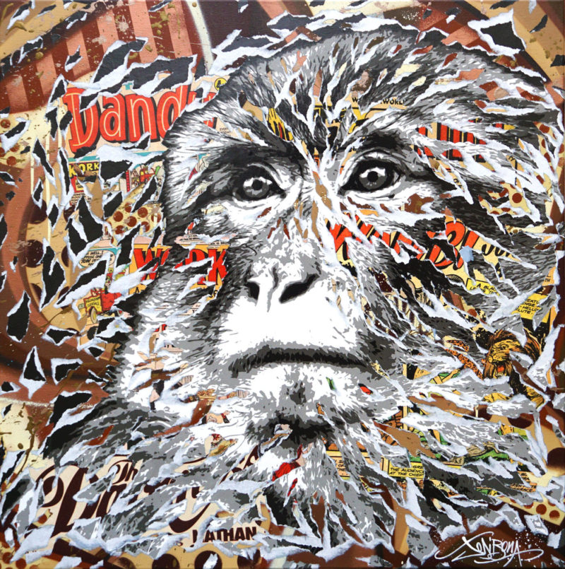 Jo di Bona – Dandy Macaky – Techniques mixtes sur toile – 80 x 80 cm