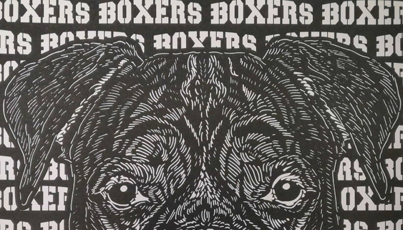 Club de Hockey sur glace : les Boxers de Bordeaux