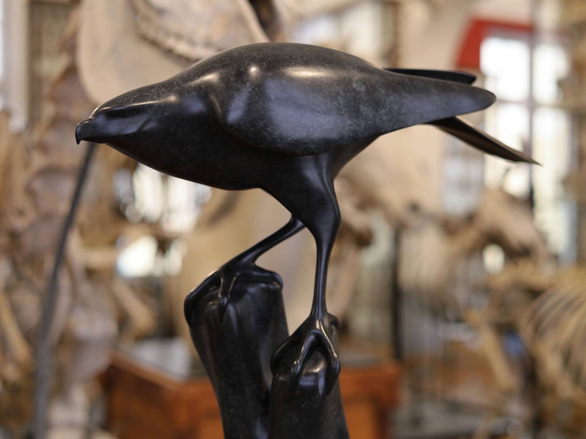 Lionel

   Wodecki